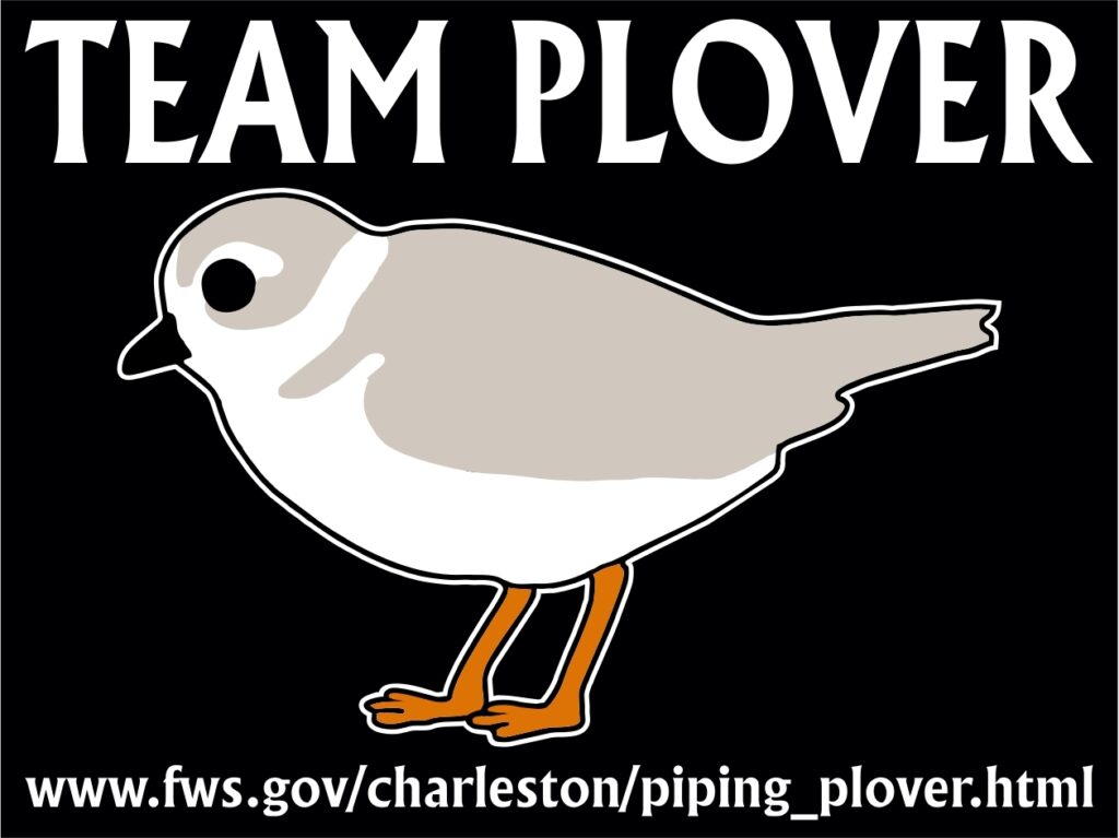 Speaker Series: Piping Plovers on the Wintering Grounds – Illinois ...