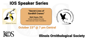 IOS Speaker Series - "The Secret Lives of Sandhill Cranes" @ Virtual Speaker Series